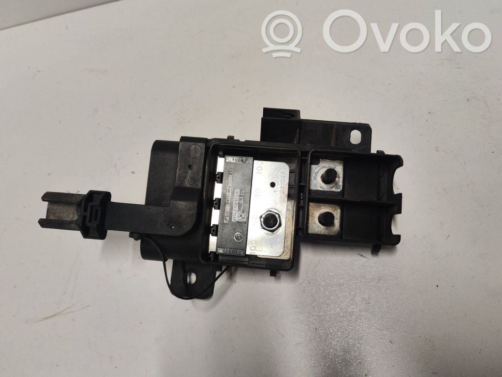 Positive wiring loom   6932673,291003,5080100,10688710
