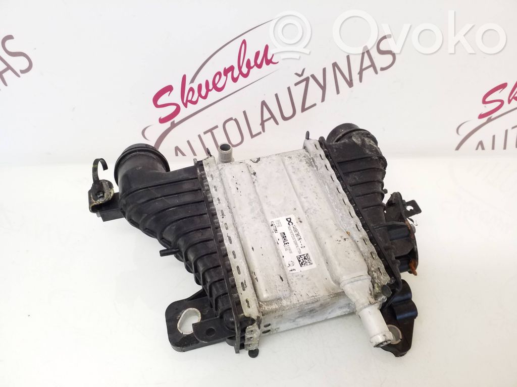 Renault Express Interkūlerio radiatorius 