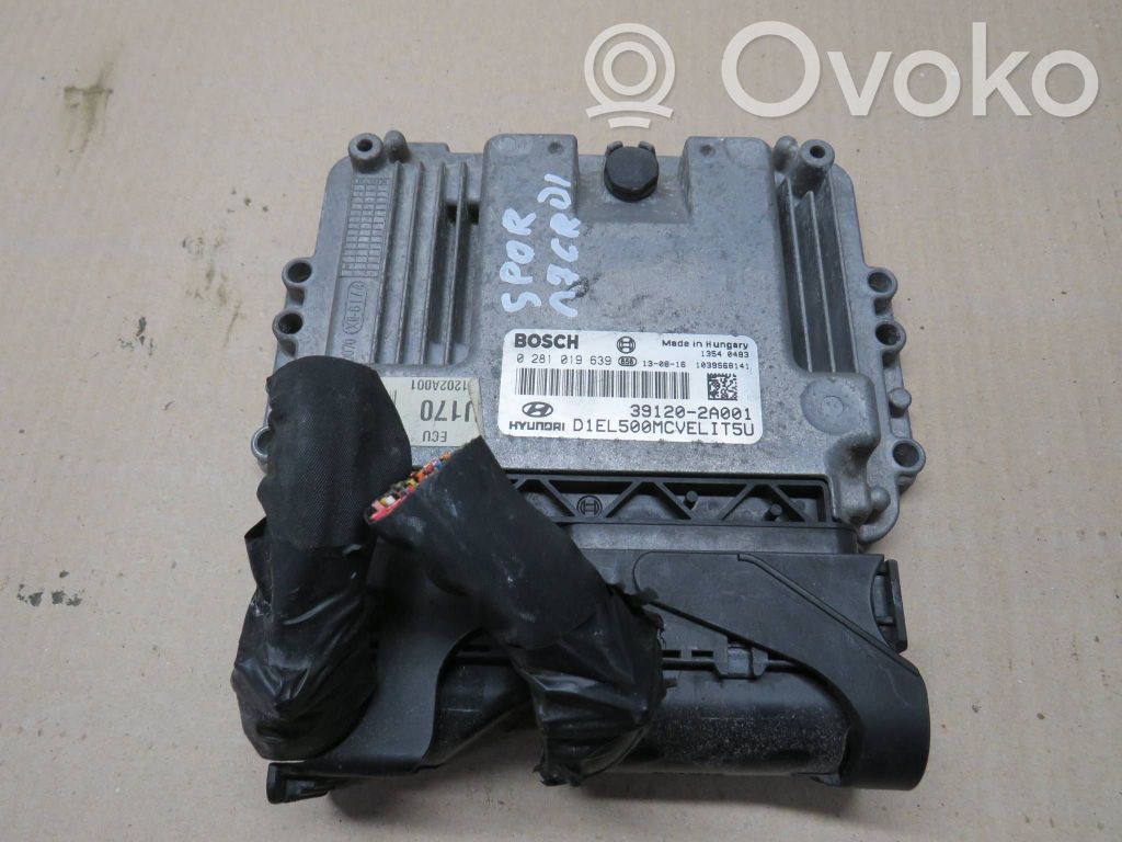 Engine control unit/module   0281019639,391202A001,1039S68141