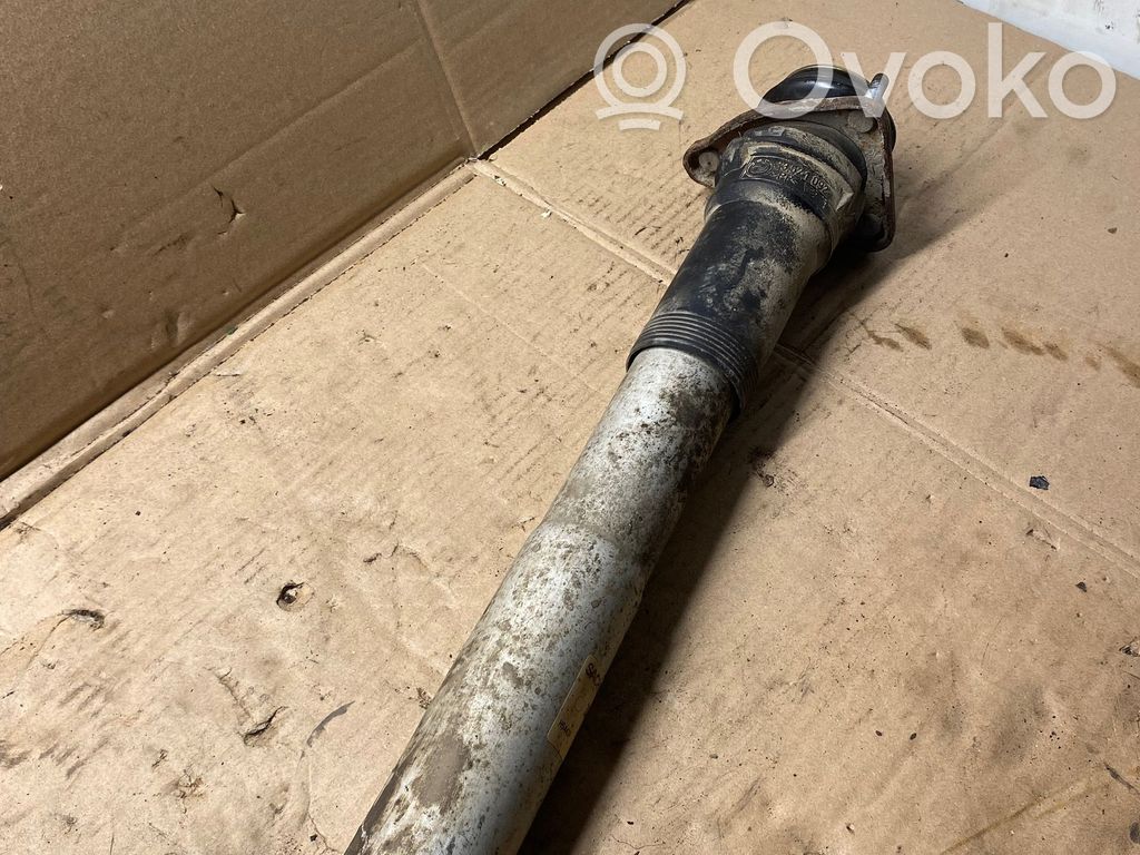 Stoßdämpfer hinten   814904557178,1094046