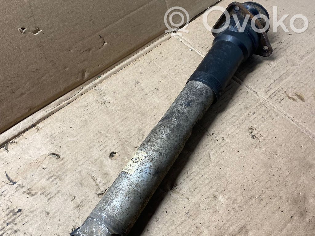 Stoßdämpfer hinten   1020137628C,33521094057