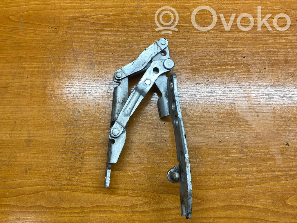 Bisagras del capó/tapa del motor