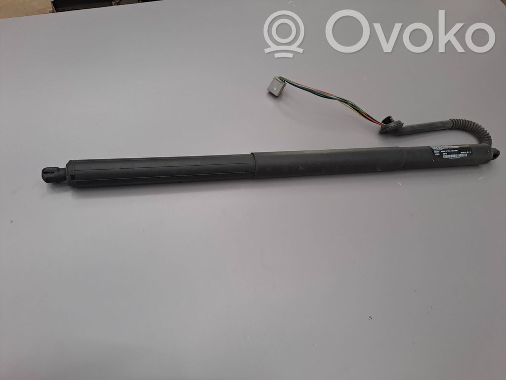 Tesla Model S Tailgate/trunk strut/damper 