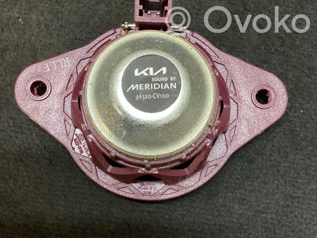 KIA EV6 Panel speaker 