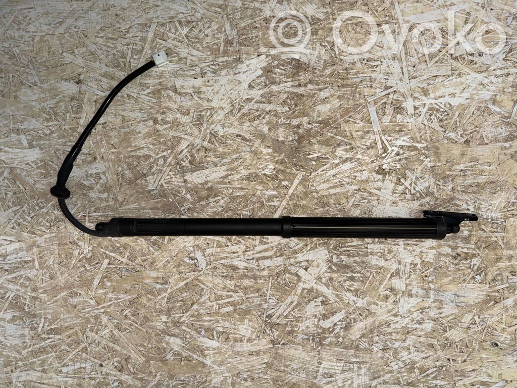 Toyota RAV 4 (XA50) Tailgate/trunk strut/damper 