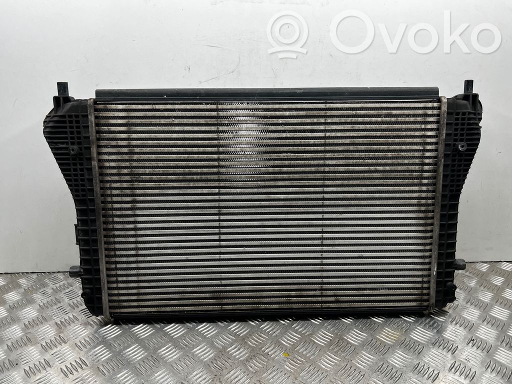 Skoda Octavia Mk2 (1Z) Interkūlerio radiatorius 