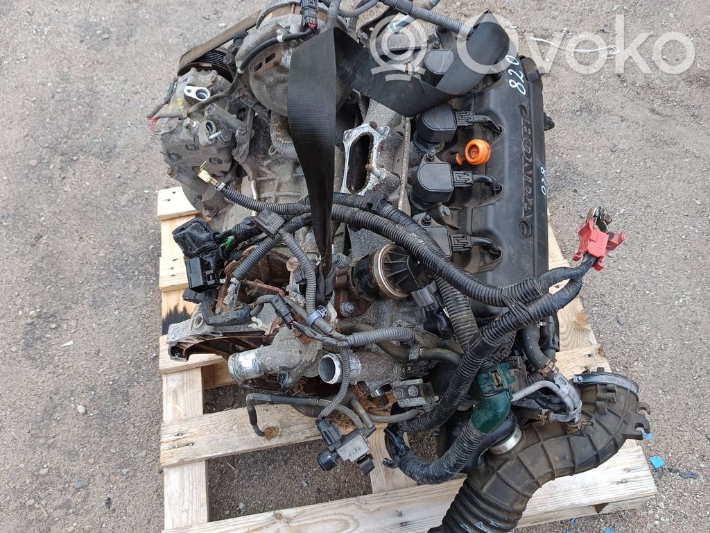 Honda Accord Engine 