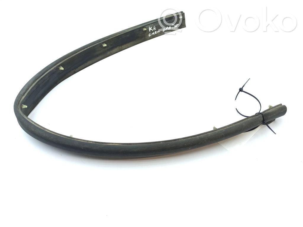 Chrysler 300 - 300C Gummidichtung Vordertür (an der Tür) 