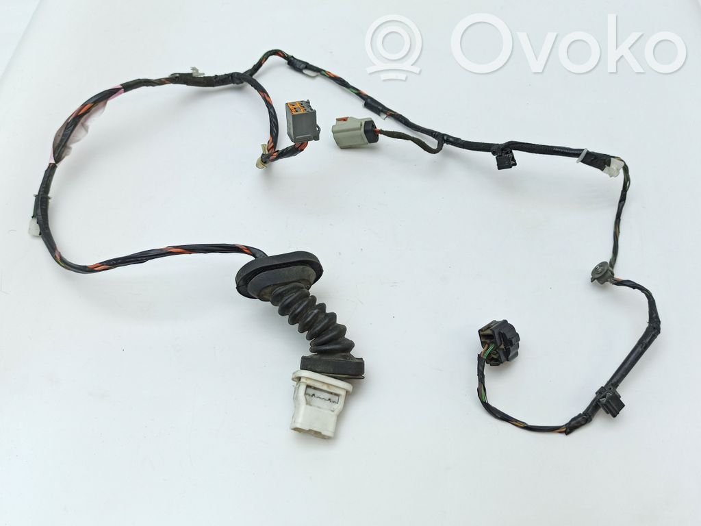 Chrysler 300 - 300C Cableado de puerta trasera 