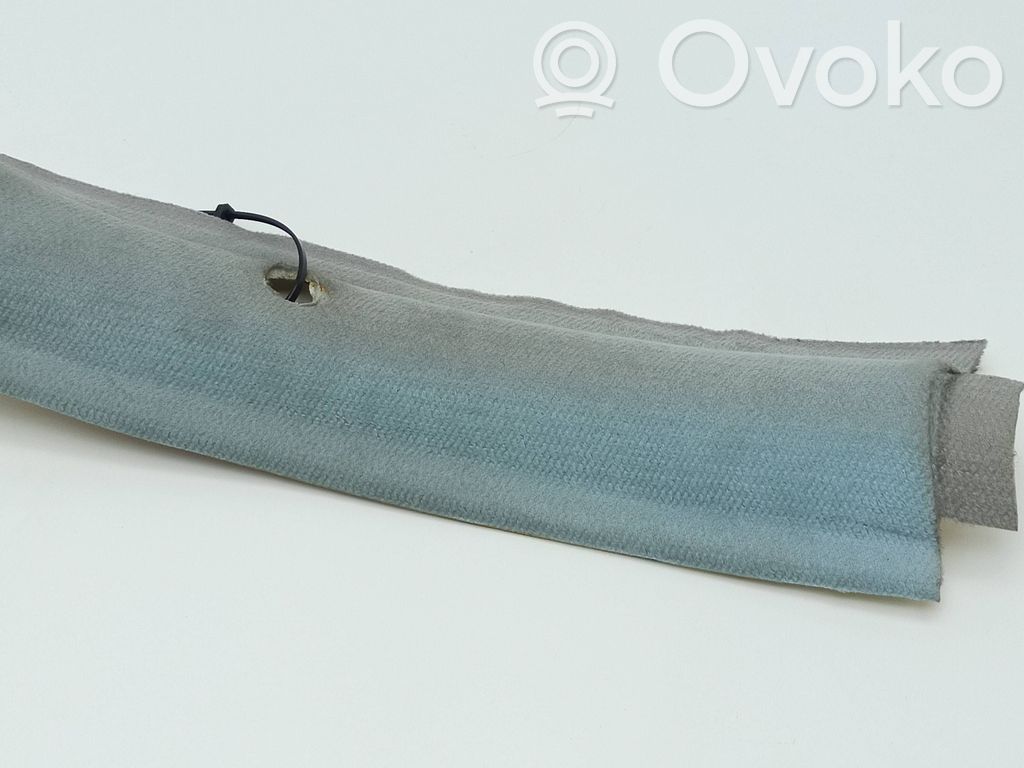 Pilar (B) (superior)