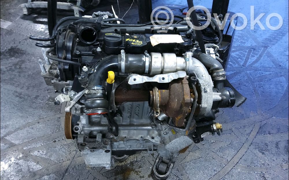 Ford Focus Variklis 