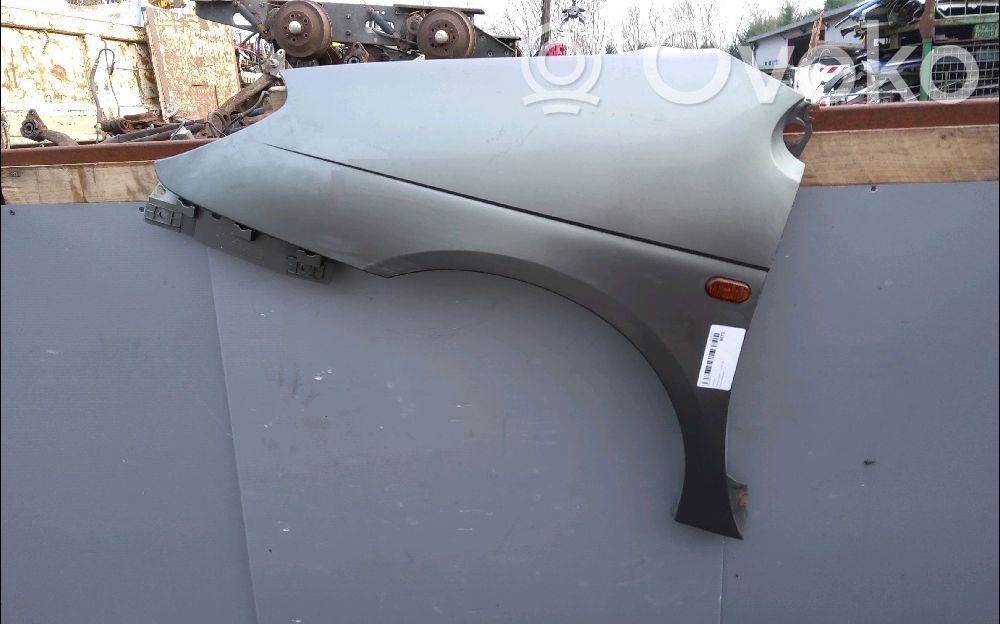 Renault Scenic I Sparnas 