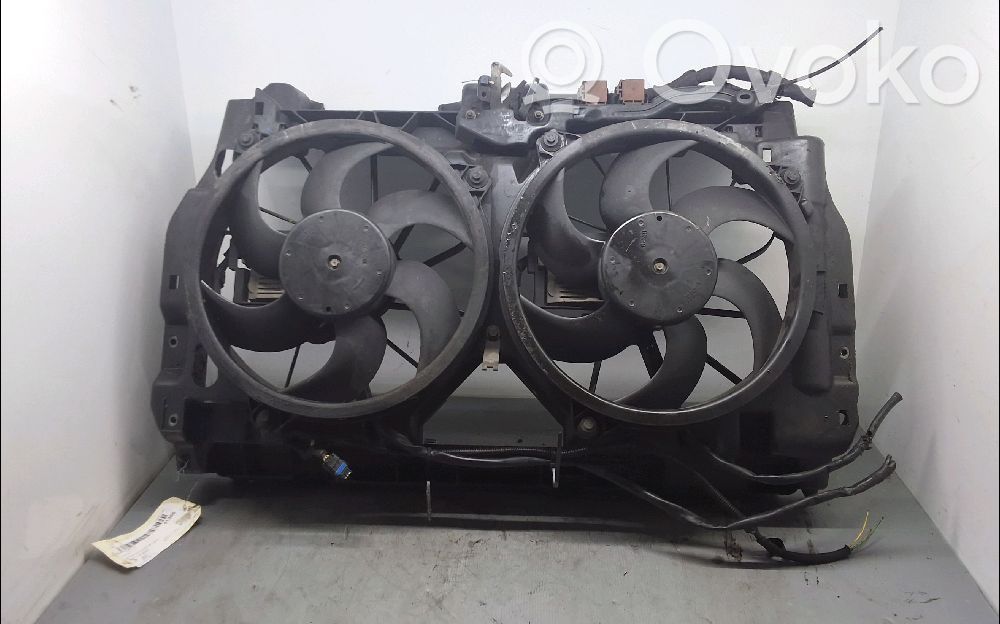 Citroen C5 Radiatoru panelis 