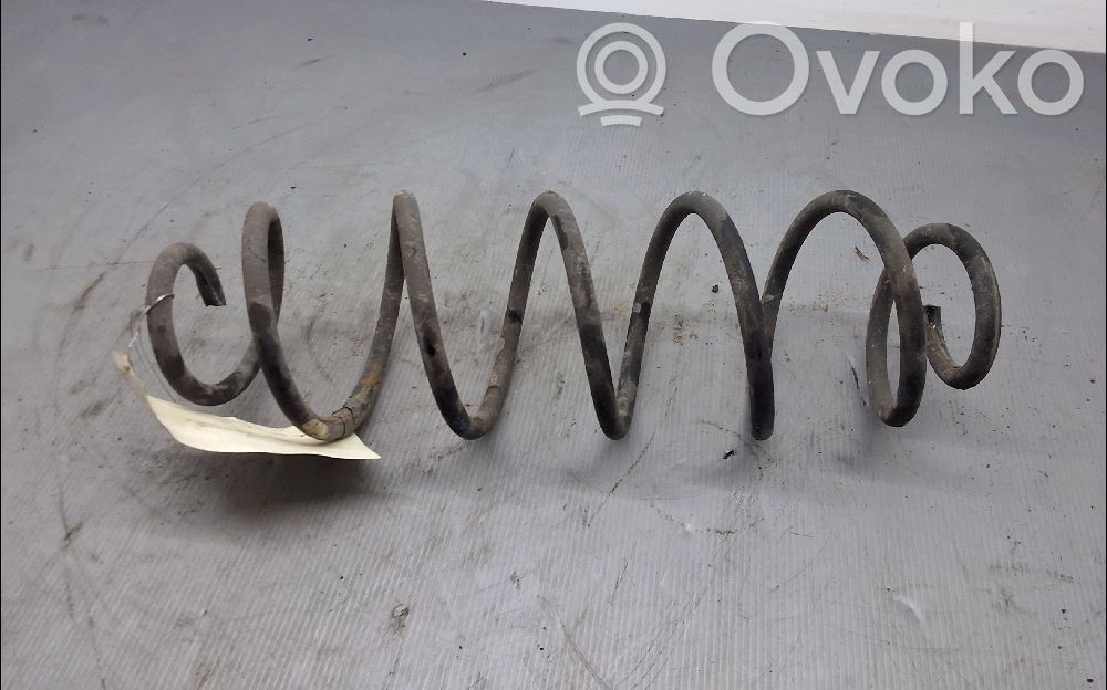 Rear coil spring