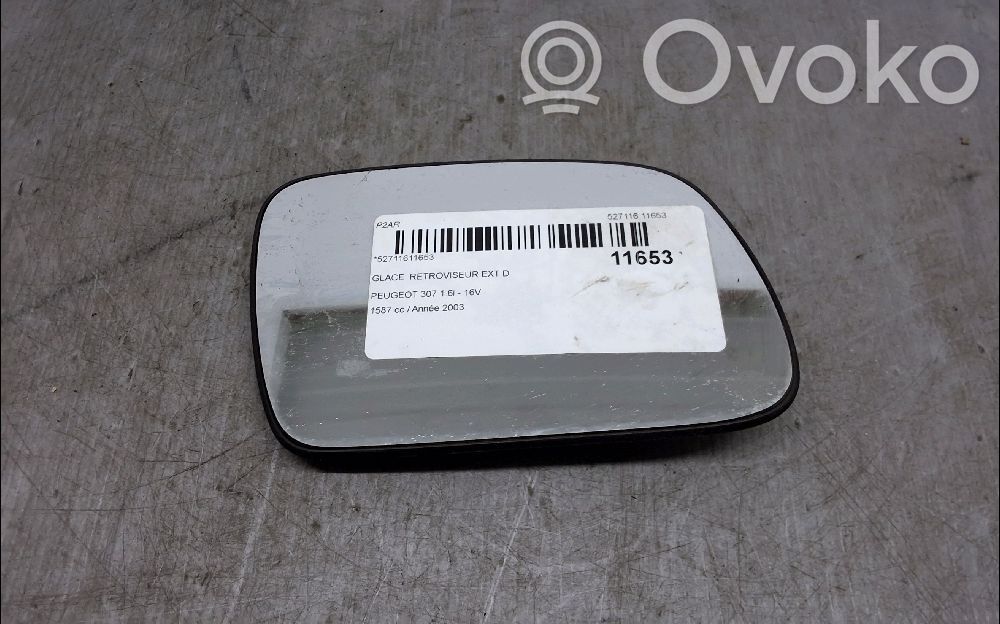 Peugeot 307 Wkład lusterka drzwi przednich 
