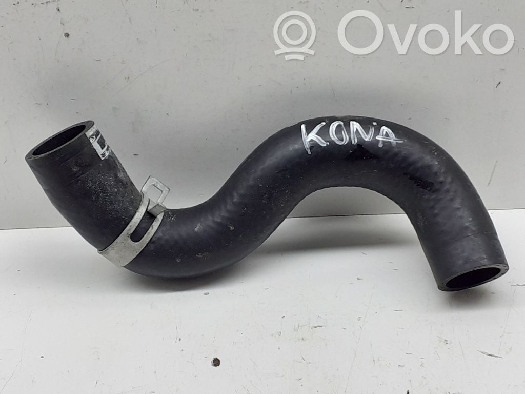 Hyundai Kona I Engine coolant pipe/hose 