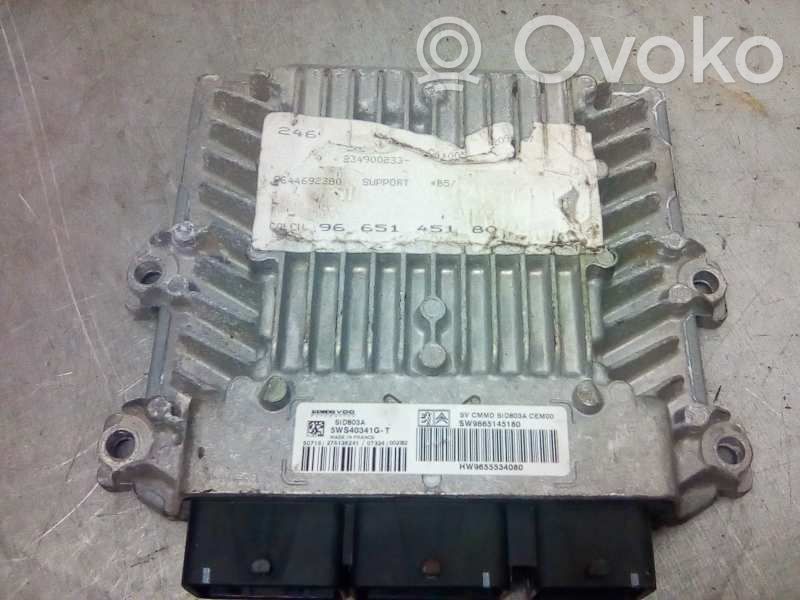 Citroen C4 I Engine control unit/module 
