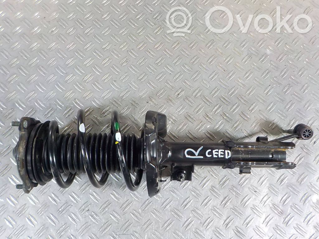 Front shock absorber/damper