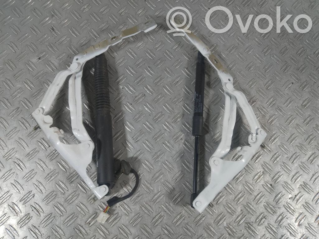 Tesla Model 3 Tailgate/trunk/boot hinge 