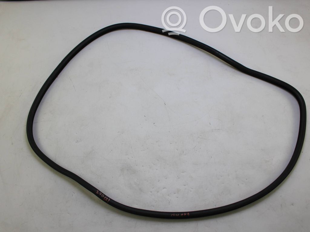 BMW 5 F10 F11 Front door rubber seal 