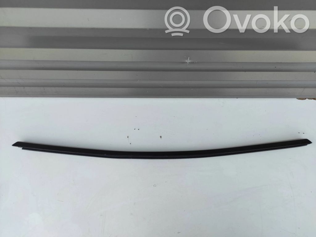 Tesla Model Y Oven lasin kisko 