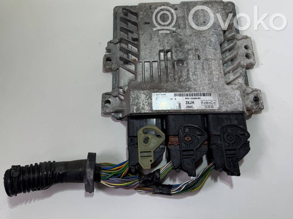 Ford Focus Engine control unit/module 