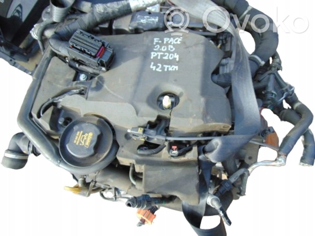 Motor   PT20402