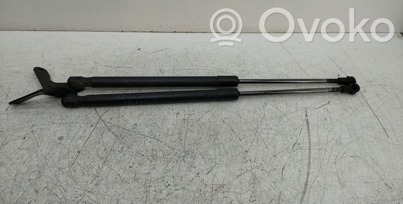 Tailgate/trunk strut/damper   AMORTECEDORES