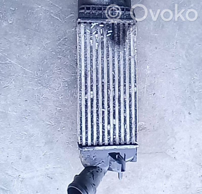Interkūlerio radiatorius