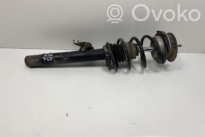 Stoßdämpfer vorne   31316786012