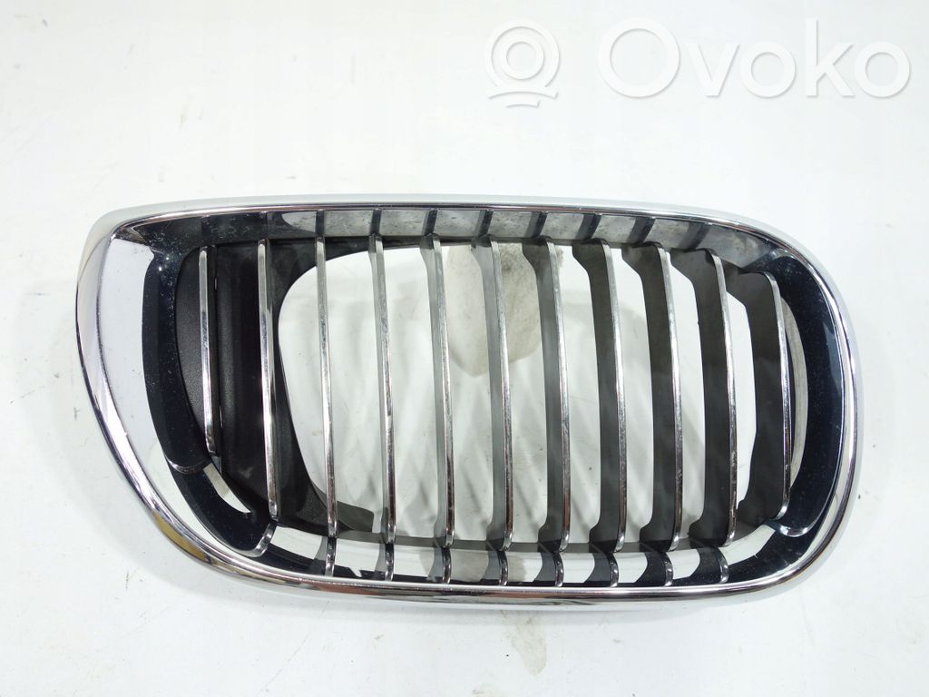 BMW 3 E46 Front bumper lower grill 