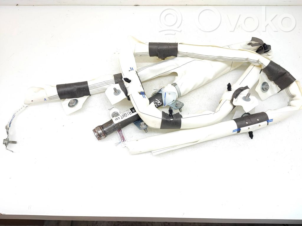 Tesla Model 3 Airbag del techo 