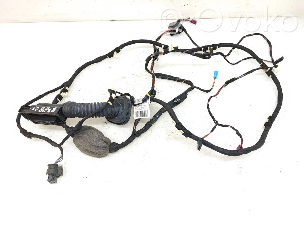 BMW X4 G02 Cableado de puerta trasera 