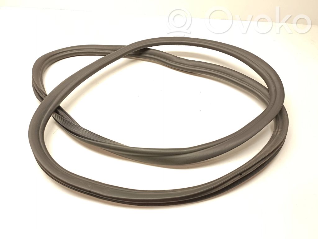 BMW 5 G30 G31 G38 Cheder ușă spate (caroserie)