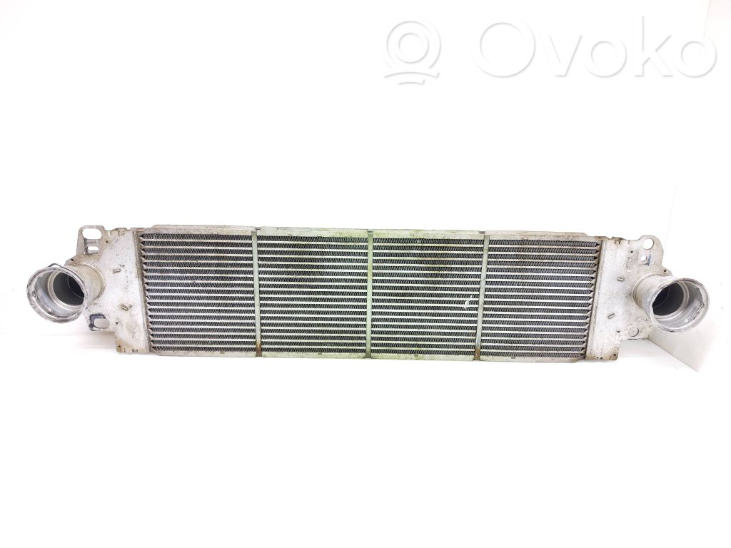 Volkswagen Transporter - Caravelle T5 Radiator intercooler 