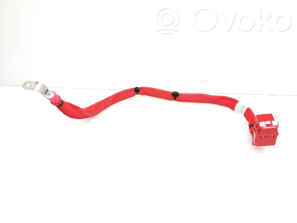 BMW X3 G01 Positive cable (battery) 