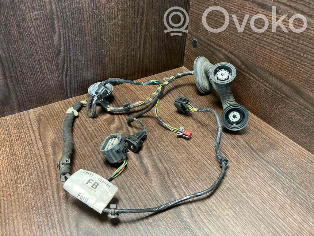 Ford Focus Cableado de puerta delantera 