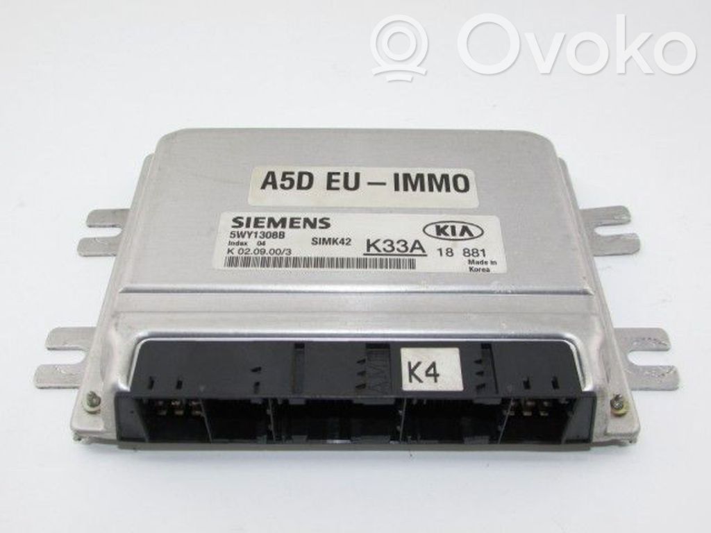 KIA Rio Engine control unit/module 