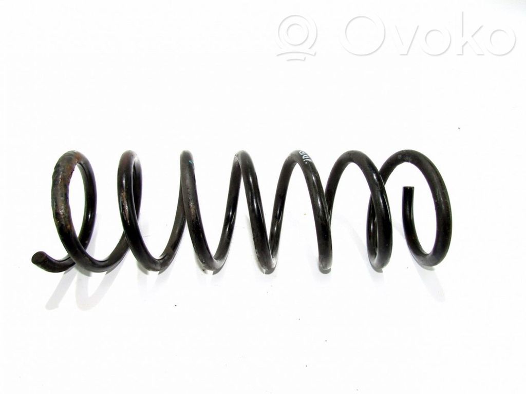 Rear coil spring