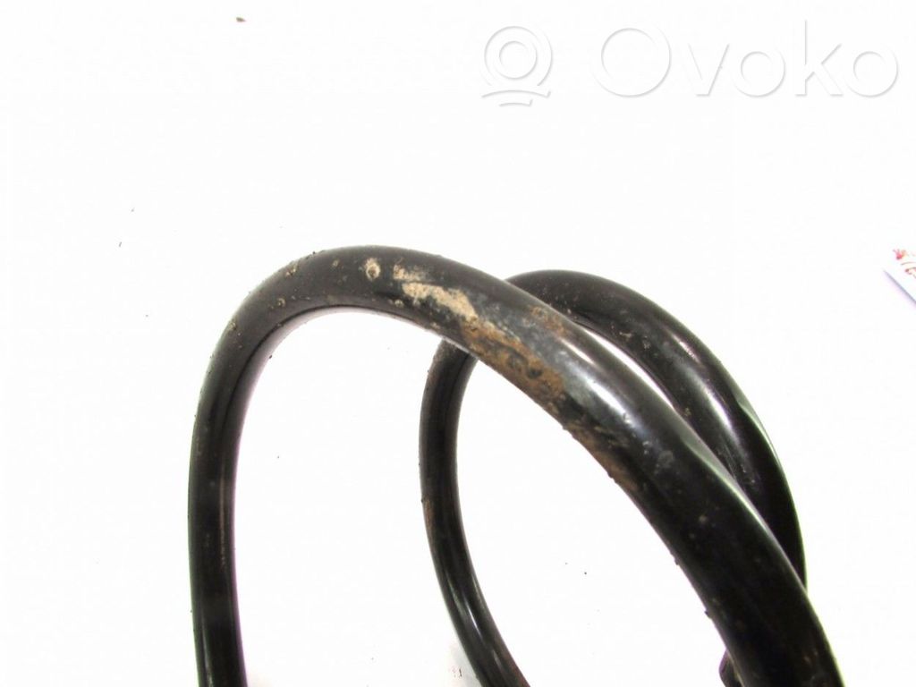 Front coil spring