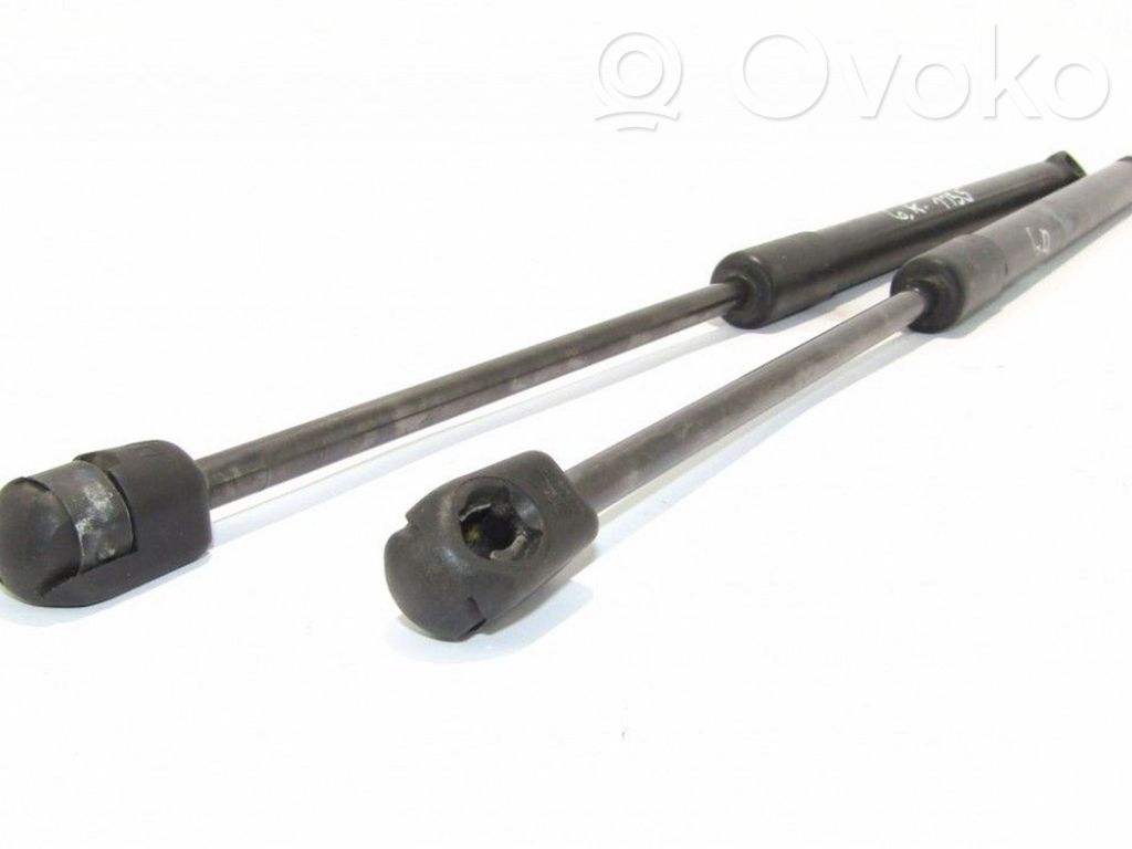 Tailgate/trunk strut/damper   4756UW,0420N