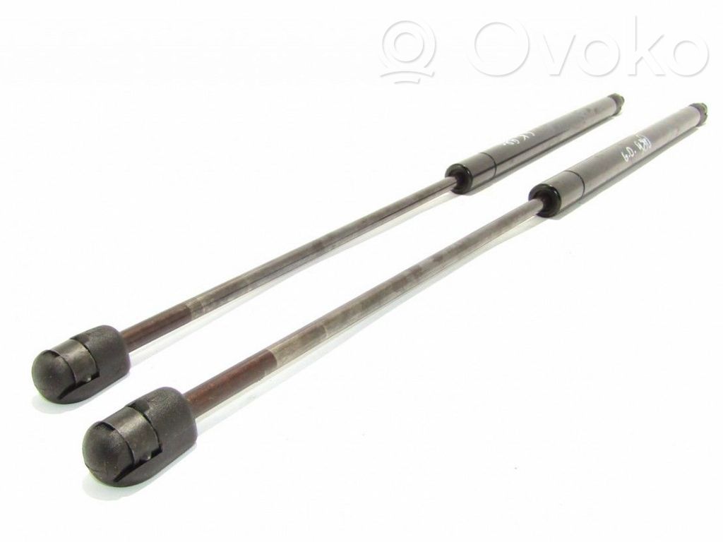 Ford Fiesta Tailgate/trunk strut/damper 