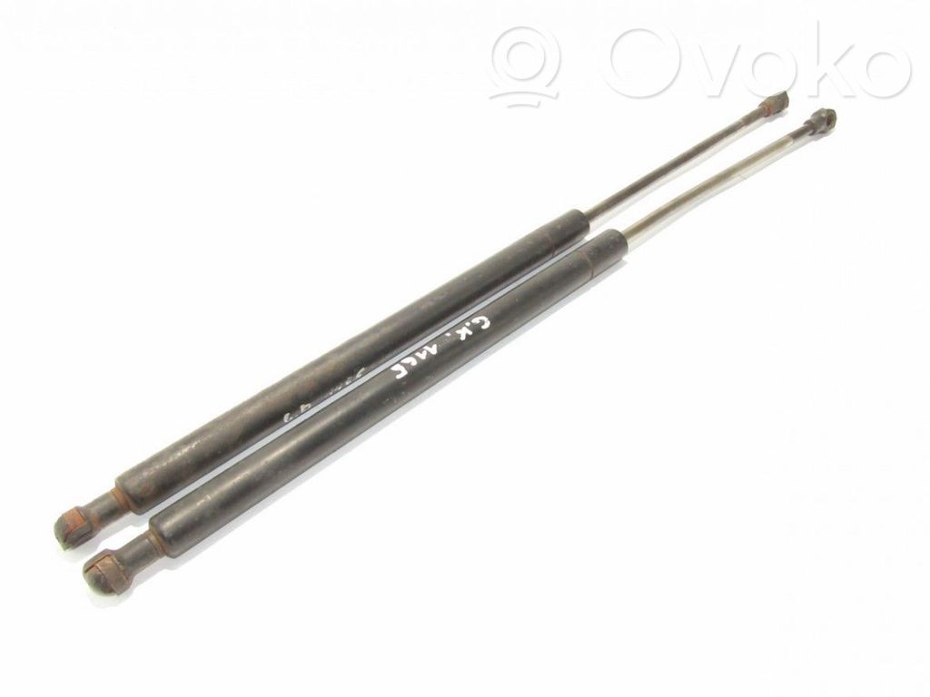 Tailgate/trunk strut/damper