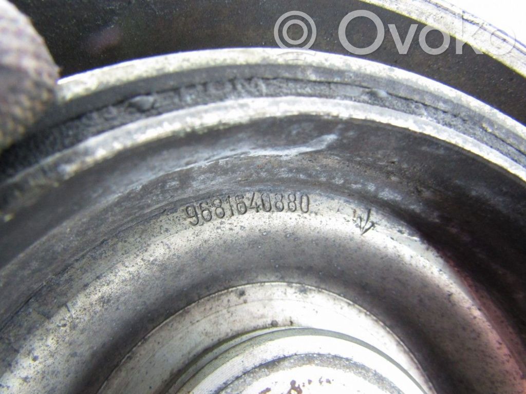 Skriemulys alkūninio veleno   9681640880