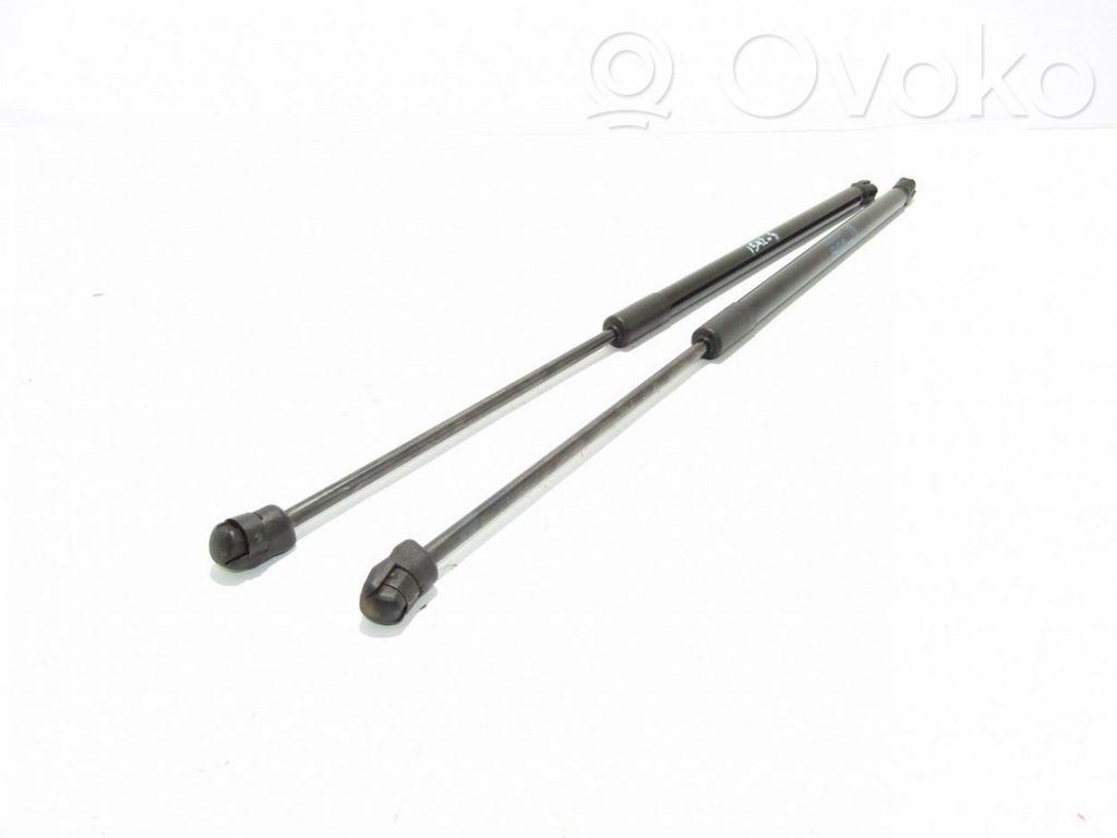 Tailgate/trunk strut/damper   13258179,001222,0400N