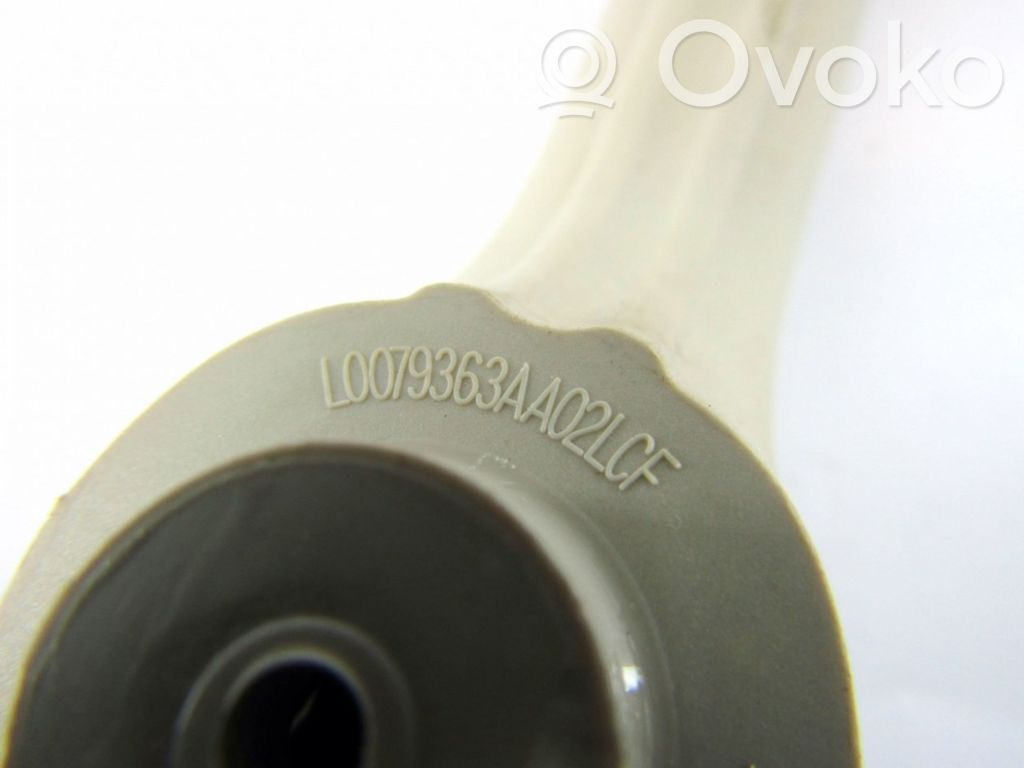 Asidero interior delantero   L0079363AA02LCF