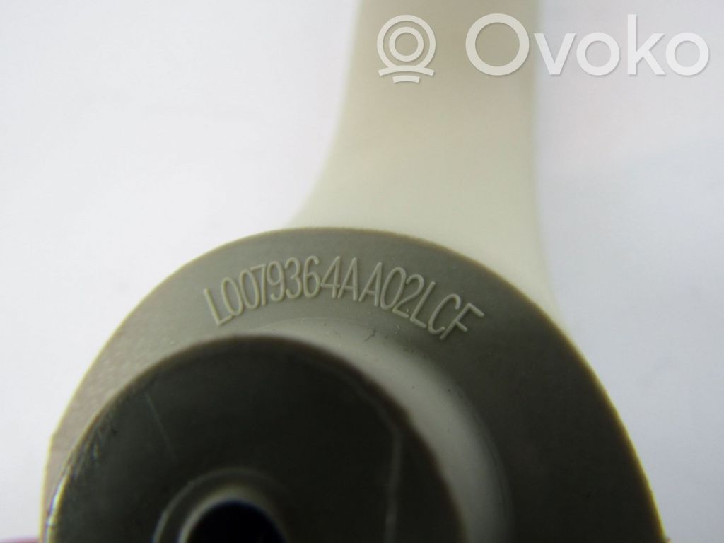 Asidero interior delantero   L0079364AA02LCF