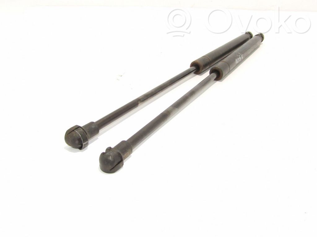 Tailgate/trunk strut/damper   51794232