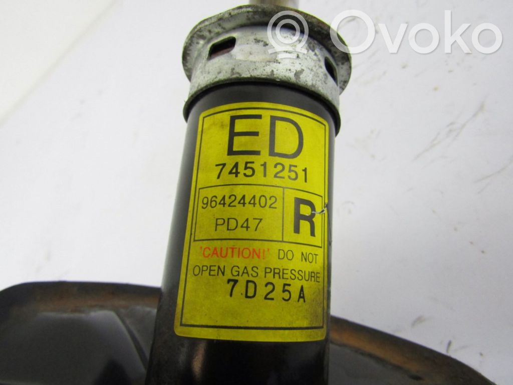 Front shock absorber/damper   7451251,96424402