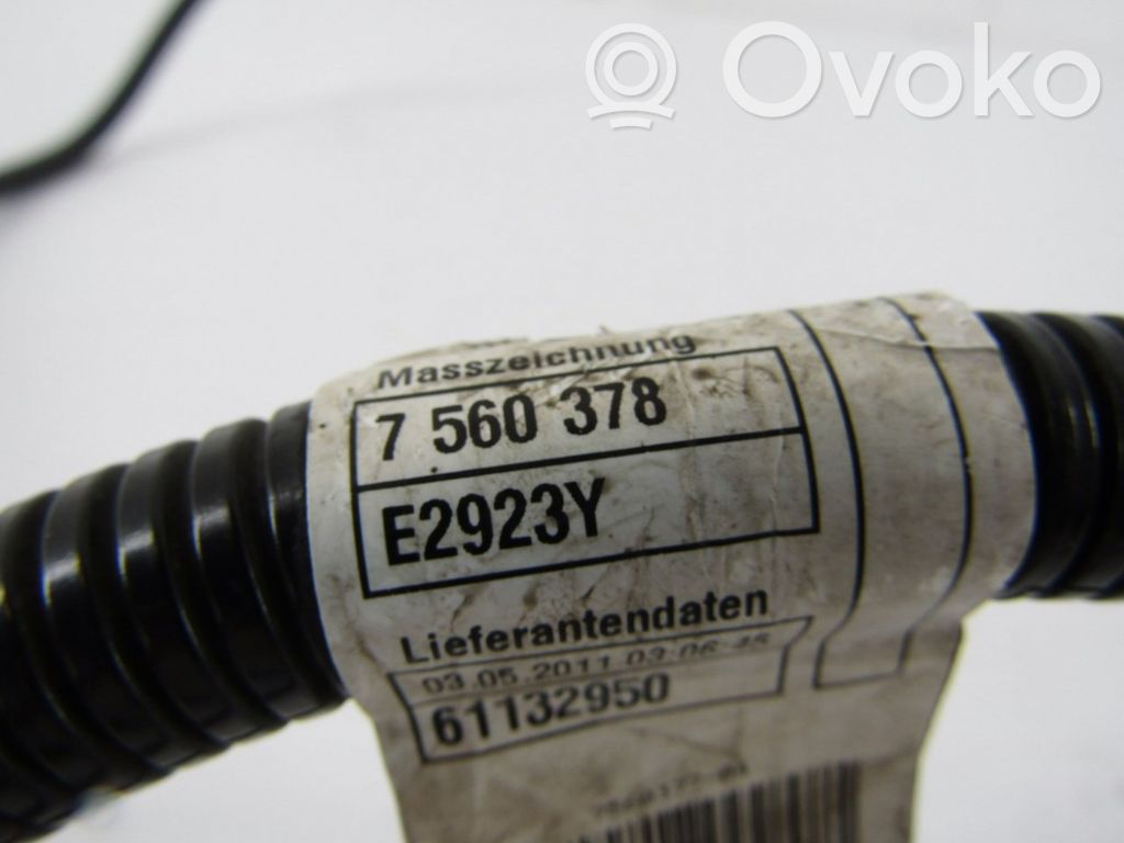 Plusa vads (akumulatora)   7560378